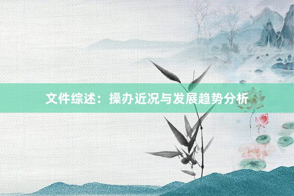 文件综述：操办近况与发展趋势分析