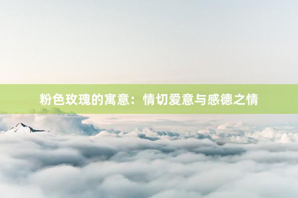 粉色玫瑰的寓意：情切爱意与感德之情