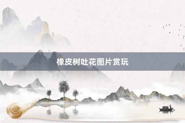 橡皮树吐花图片赏玩
