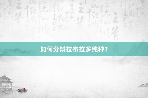 如何分辨拉布拉多纯种？
