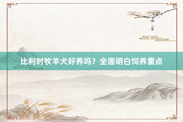 比利时牧羊犬好养吗？全面明白饲养重点